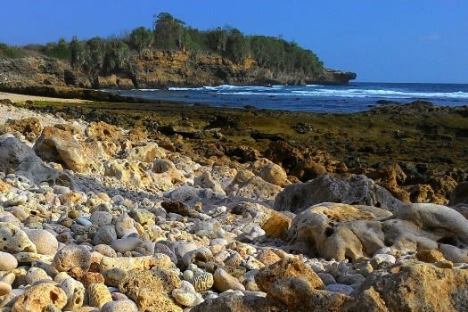 pantai-bakung