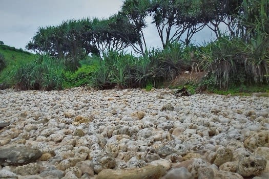 pantai-gemuling1