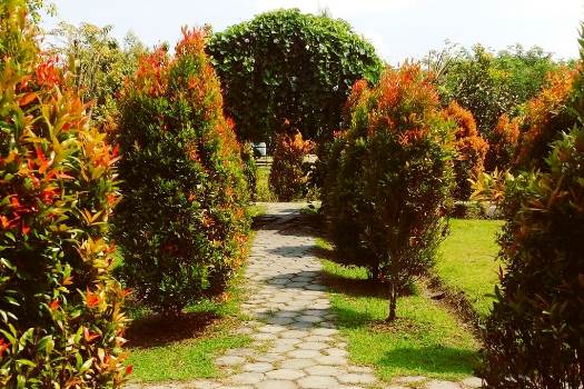 Wisata Edupark UMS Solo