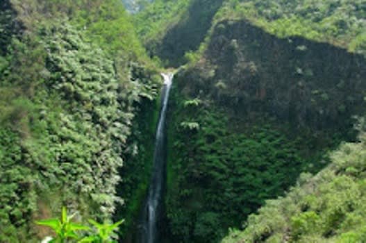 air-terjun-coban-wilis1
