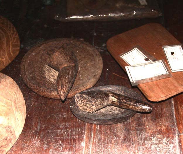 Museum Kayu Wanagama Gunung Kidul Jogja
