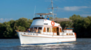 article blur image