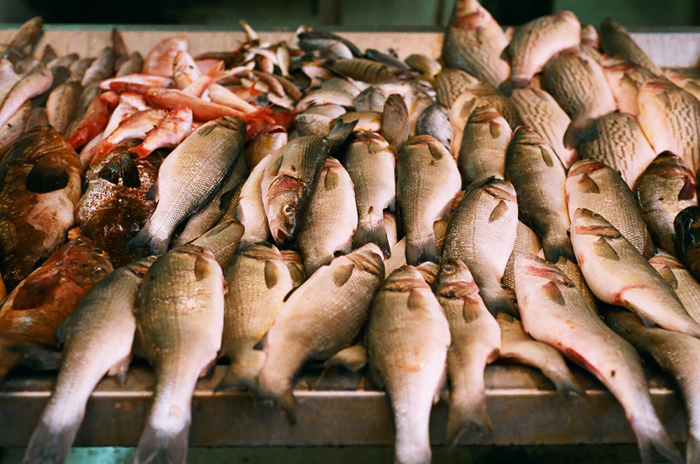 SuchAFishMarket Here's Where To Get The Freshest, Prime Quality Fish
