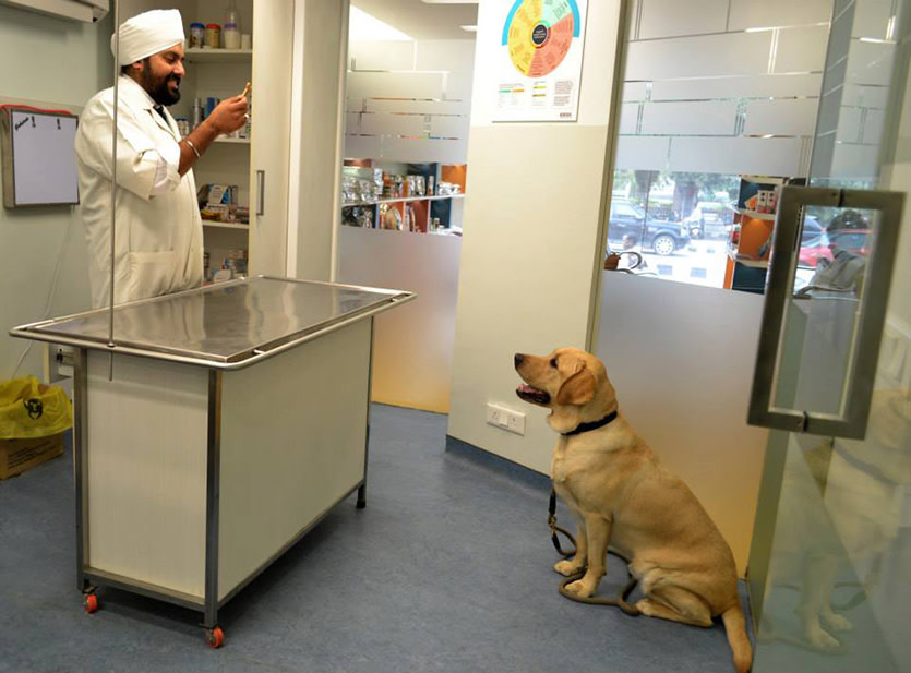 dr rana vet neeti bagh