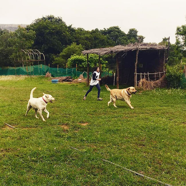 are dogs allowed in parks in india