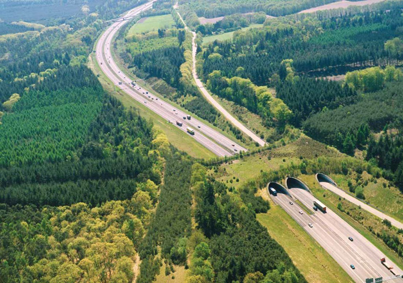 Noida May Soon Get India's First Animal Bridge | So Delhi Noida May Soon Get India's First Animal Bridge | So Delhi