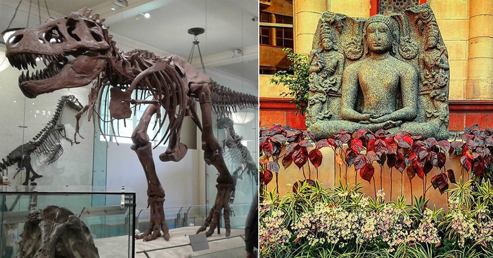 National Museum Of Natural History, Tansen Marg In Delhi | So Delhi