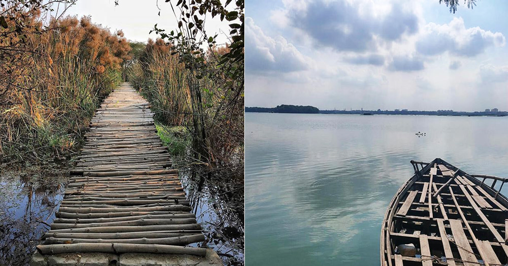 A Walk Through The Okhla Bird Sanctuary Is All You Need On ...