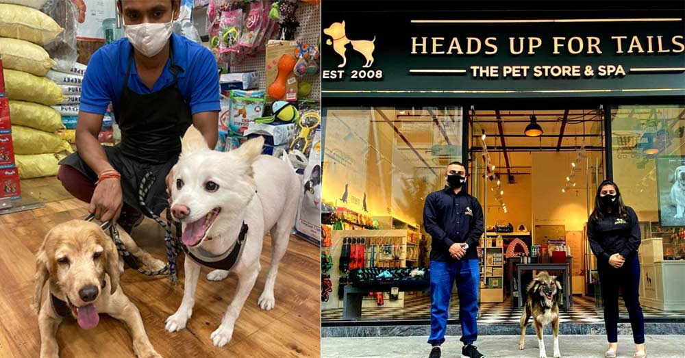 7 Best Pet Stores In Delhi - A List