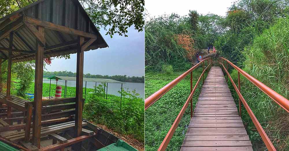 Okhla Bird Sanctuary