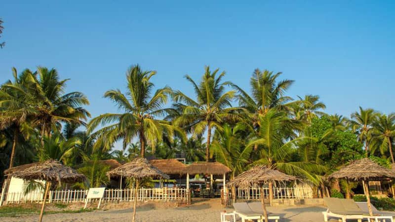 Larisa Beach Resort In Morjim Goa For A Vacation | So Delhi