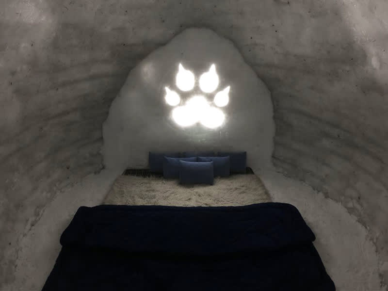 Sleep In An Igloo HERE In Manali So Delhi