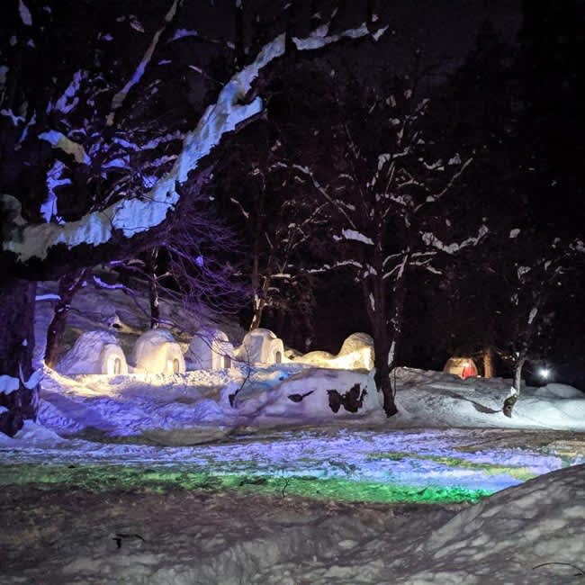 Sleep In An Igloo HERE In Manali So Delhi