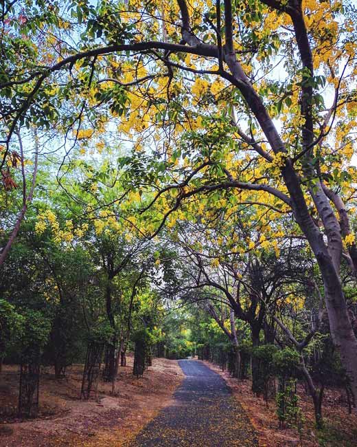 8 Beautiful Open Spaces In Delhi For Social Distancing | So Delhi