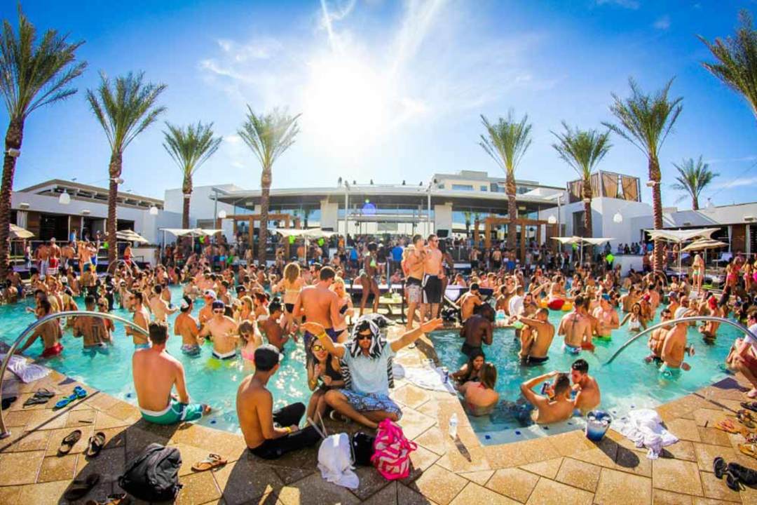 Vip Crew Pool Party