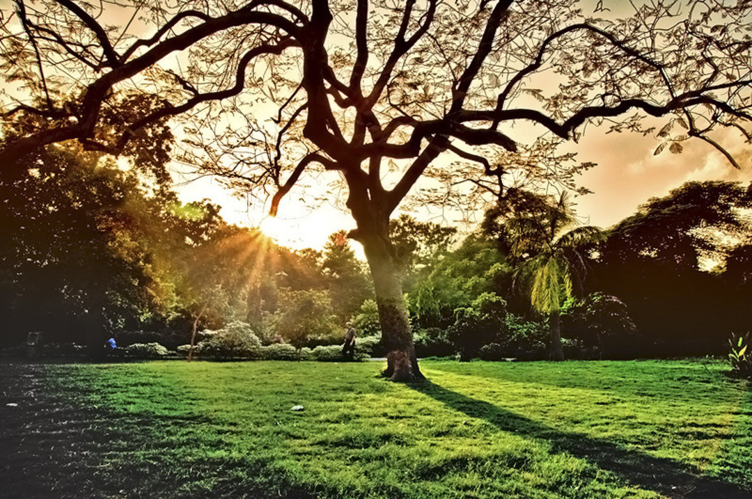 9 Best Places To Watch The Sunrise In Delhi So Delhi