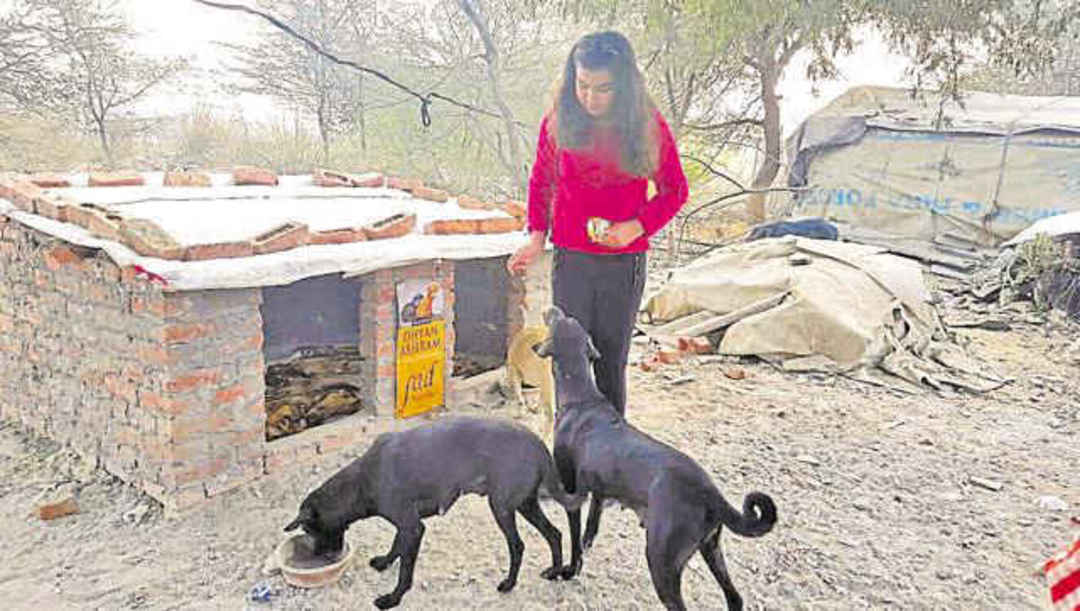 Gurgaon Girl Kid Saves Money & Builds a Stray Dog Shelter So Delhi