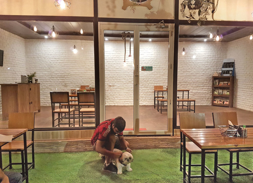 7 Best Dishes To Try At Fur Ball Story Cafe In Gurgaon So Delhi