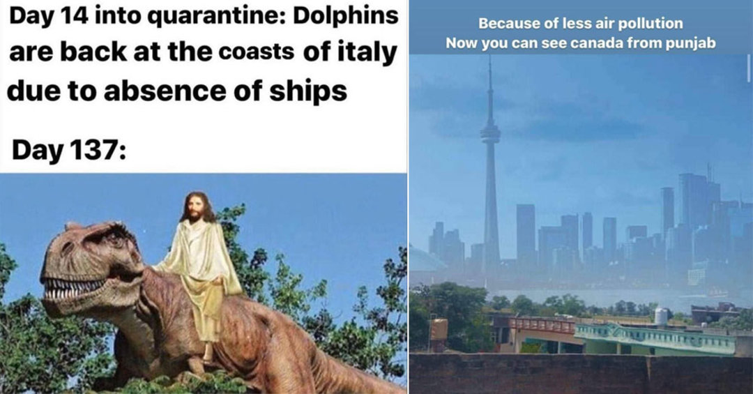 15 Most Hilarious Quarantine Memes Online So Delhi