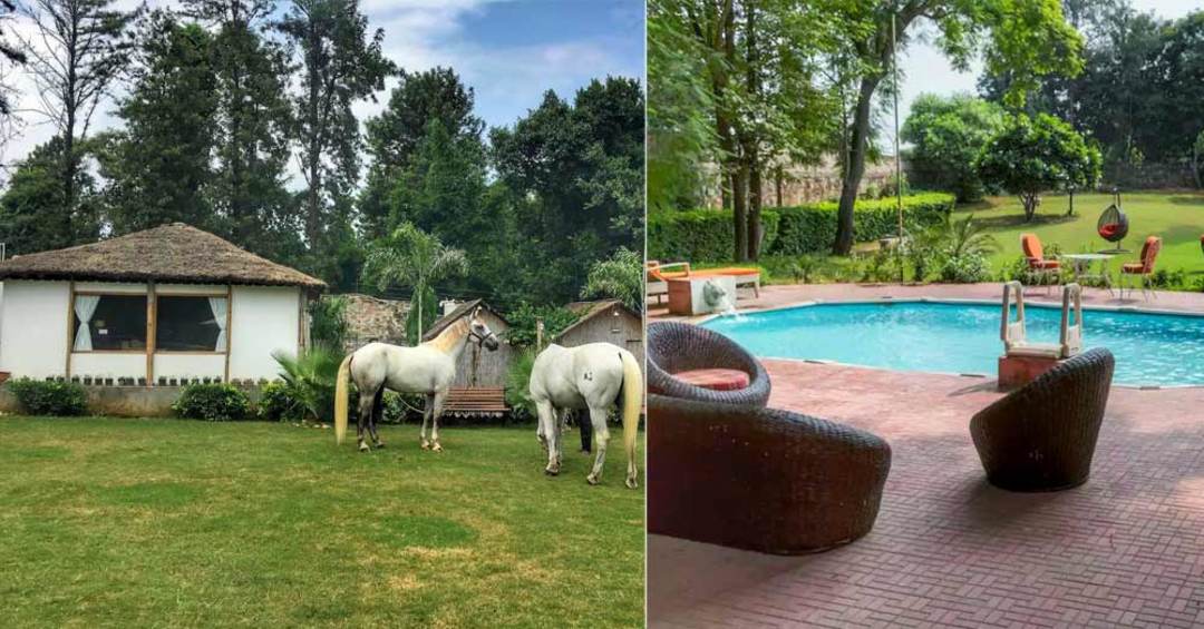 5 Best Airbnbs In Delhi For A Staycation So Delhi
