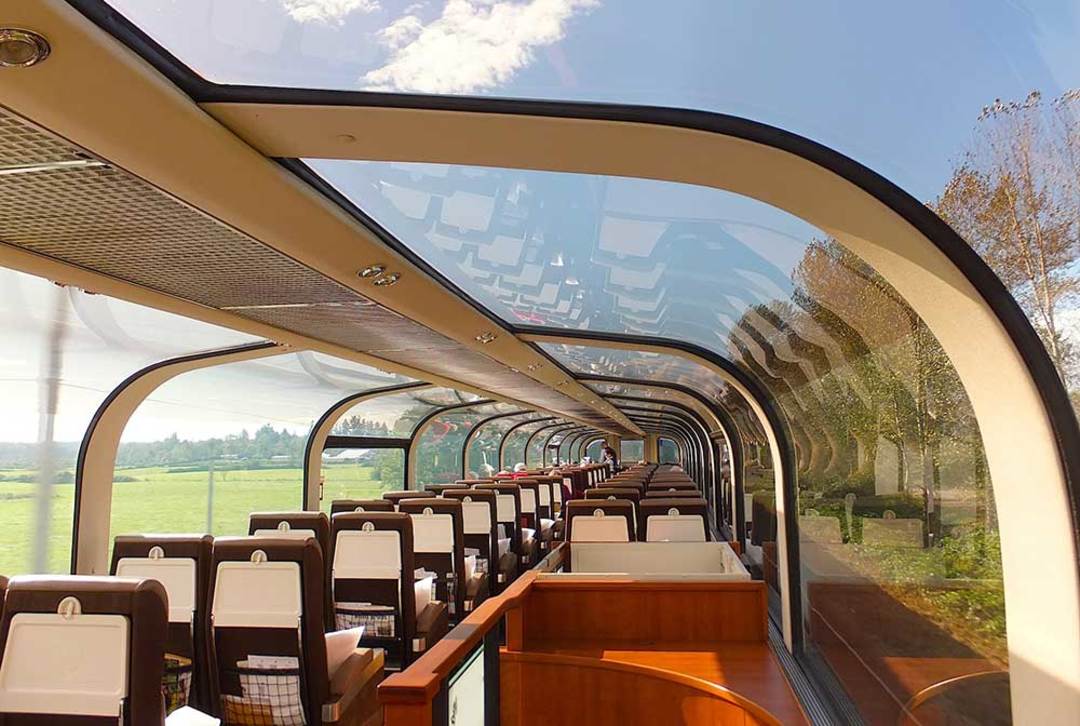 Glass Ceiling Train Shelly Lighting