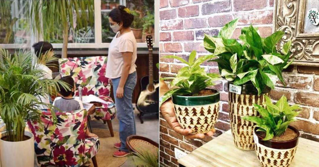 Garden Lovers Botanical Boutique & Cafe In Gurgaon | So Delhi