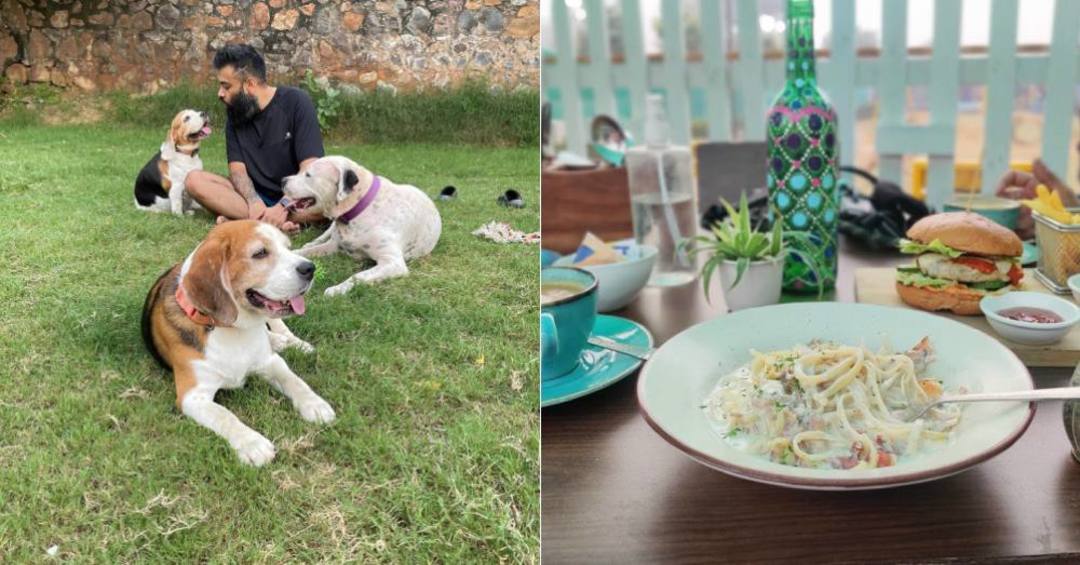 Barks And Meows For Pet Cafe & Playground In Gurgaon So Delhi