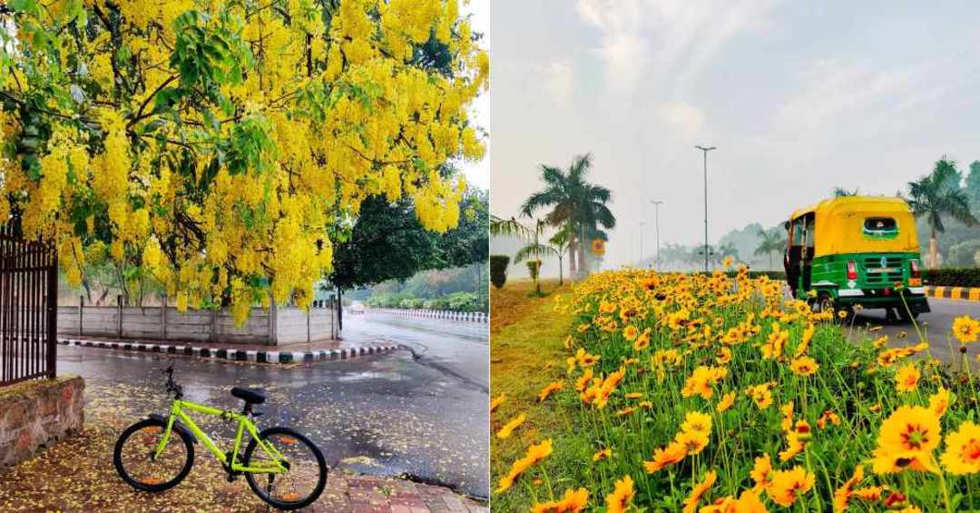 Spring In Delhi 15 Beautiful Pictures Of Spring In Delhi NCR | So Delhi