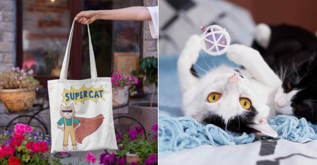 Curious Cat Company For Cat Products Online So Delhi