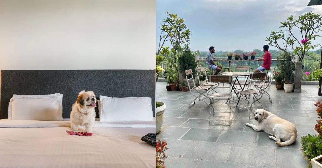 7 Best PetFriendly Airbnbs In Delhi For A Staycation So Delhi