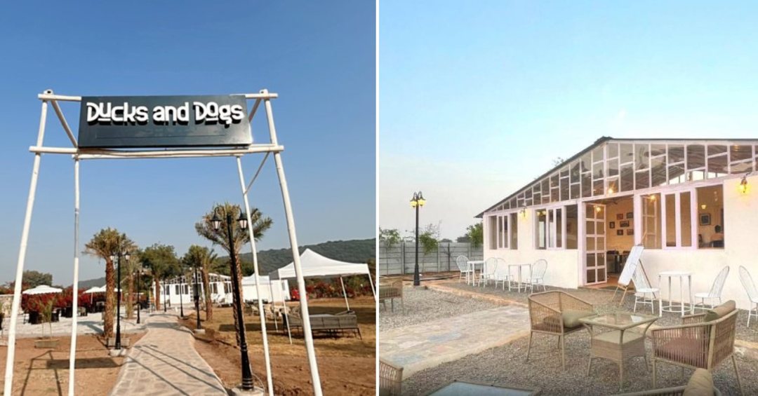 New Ducks and Dogs Cafe In Haryana So Delhi