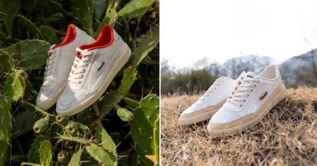 Thaely - A Recycled Sustainable Sneaker Brand | So Delhi