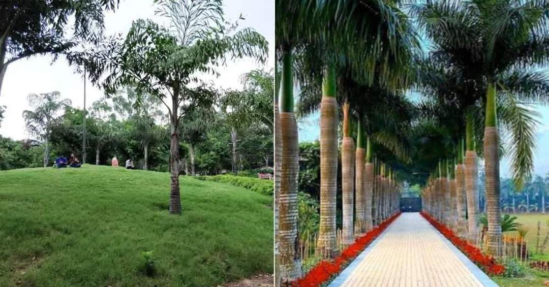 Rock Garden in Patel Nagar, Delhi So Delhi