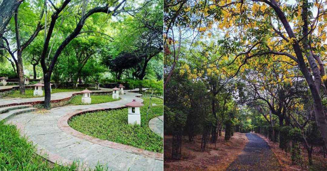 9 Best Green Places In Delhi A Handpicked List So Delhi
