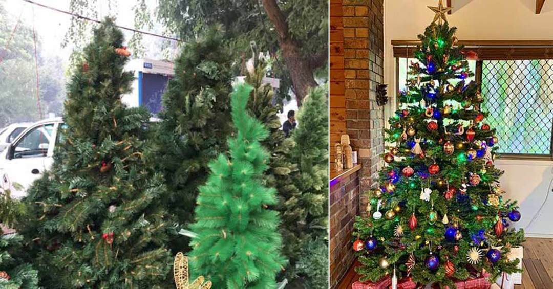 8 Best Places For Christmas Trees In Delhi  So Delhi