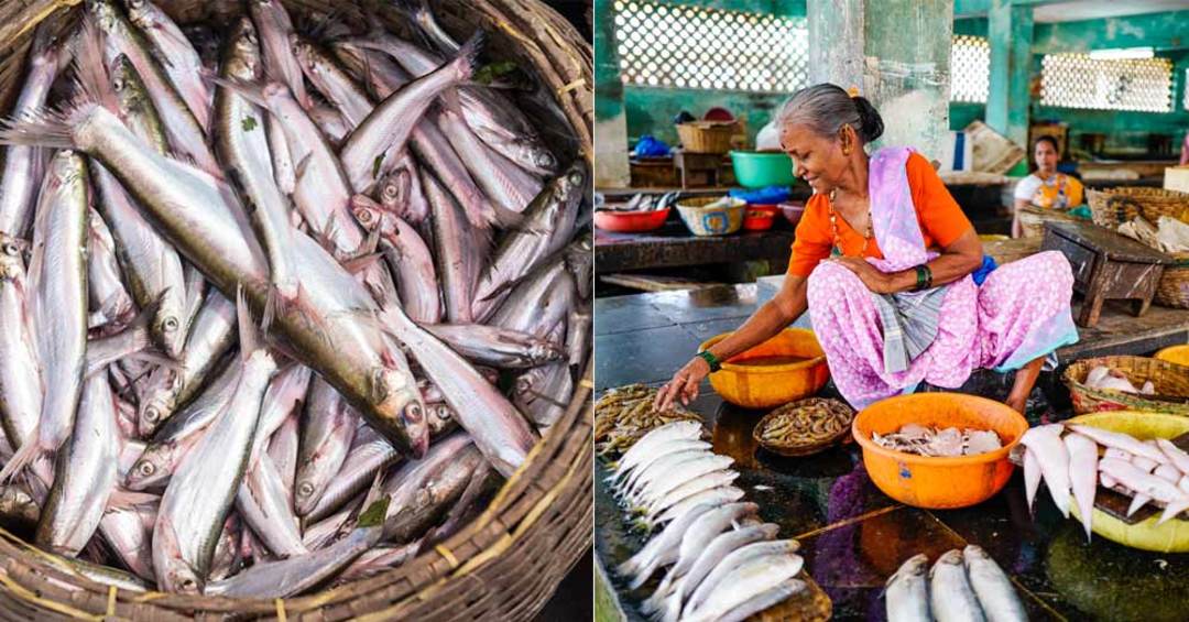 12 Best Fish Markets In Delhi - A List | So Delhi