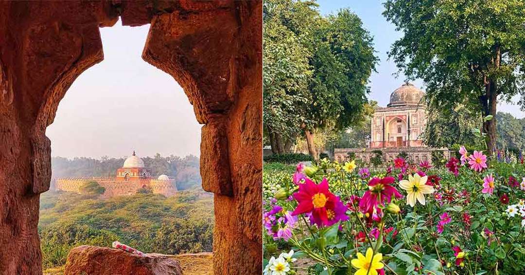 Spring In Delhi 10 Best Places In Delhi To Enjoy Spring Blossoms | So Delhi