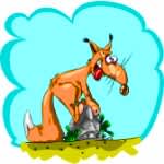 Darjeeling Ka Bhukkad