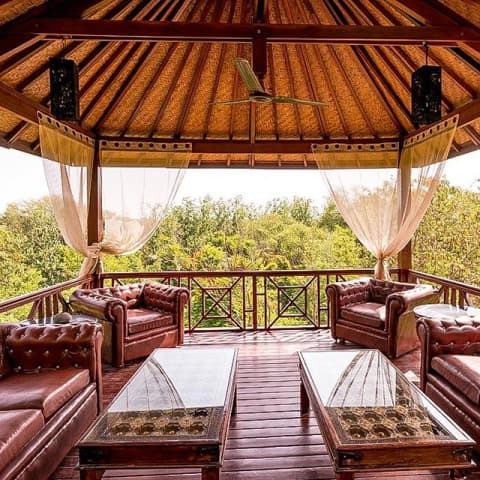 Check Out The Tree House Resort In Jaipur | So Delhi