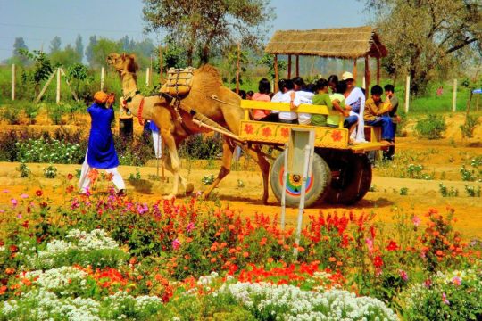 https://res.cloudinary.com/purnesh/image/upload/w_540%2Cf_auto/pratapgarh-farms.jpg