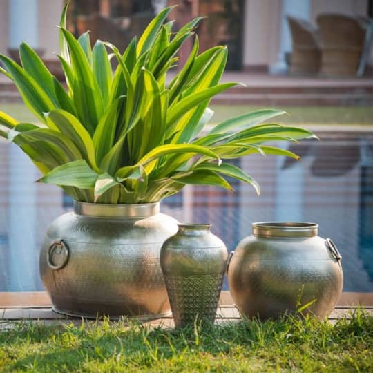 Buy Ceramic Vase, Decorative Vases Online at Fabindia