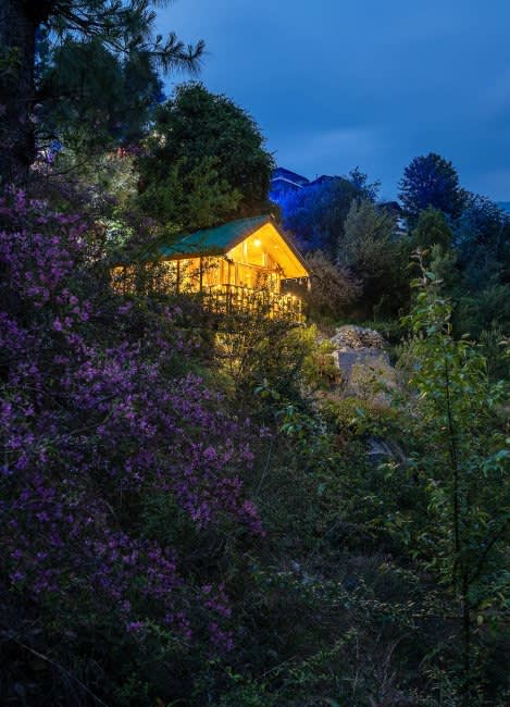 Book This Tree House In Jibhi, Himachal Pradesh For Vacay | So Delhi