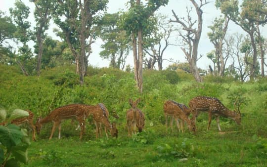 10 Best Things To Do In Ooty | So Ooty 10 Best Things To Do In Ooty | So Ooty