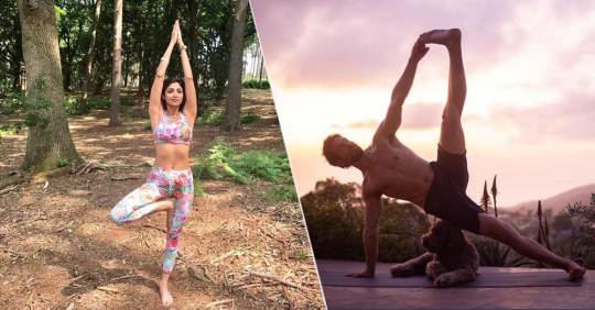 The 5 Best Yoga  Channels