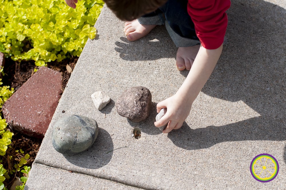 preschool boy gathering rocks in Missouri