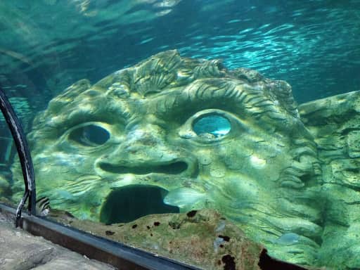 生き物ではない 生き物ではない