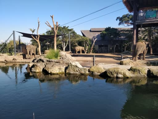 ゾウ3 ゾウ3