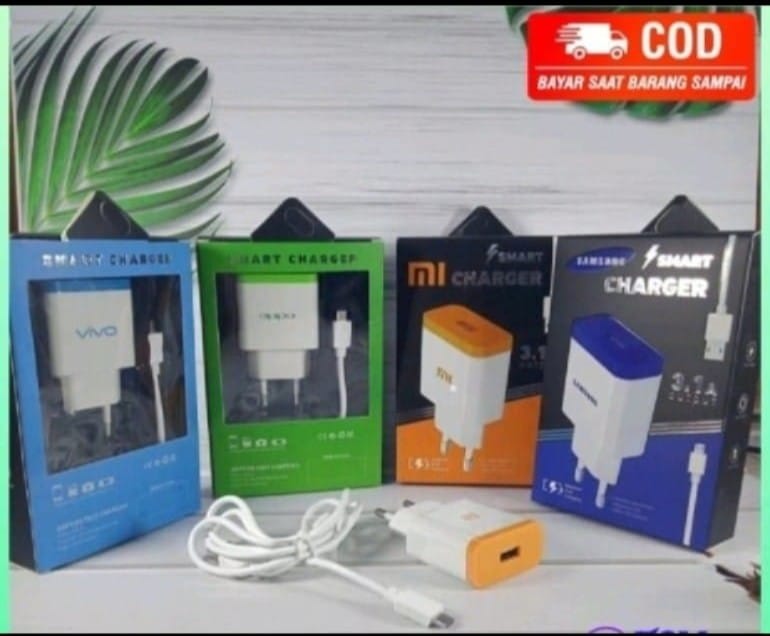 TC BRANDED SMART / TRAVEL CHARGER