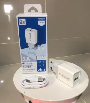 TRAVEL CHARGER MODEL LDO-B01 3 AMPERE di qeong.com