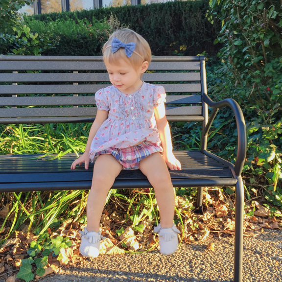 Rose on a bench
